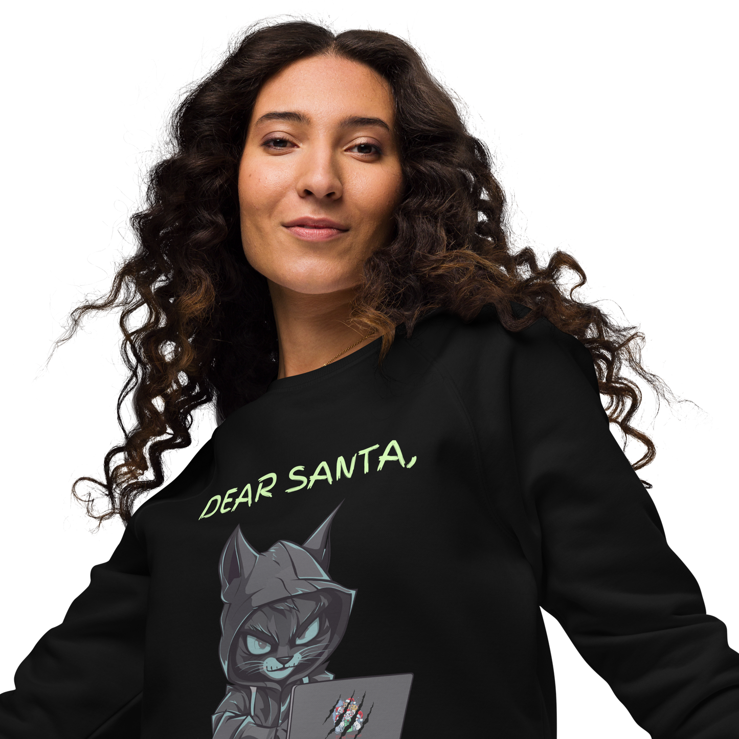 Dear Santa, T. Kitty Sweatshirt