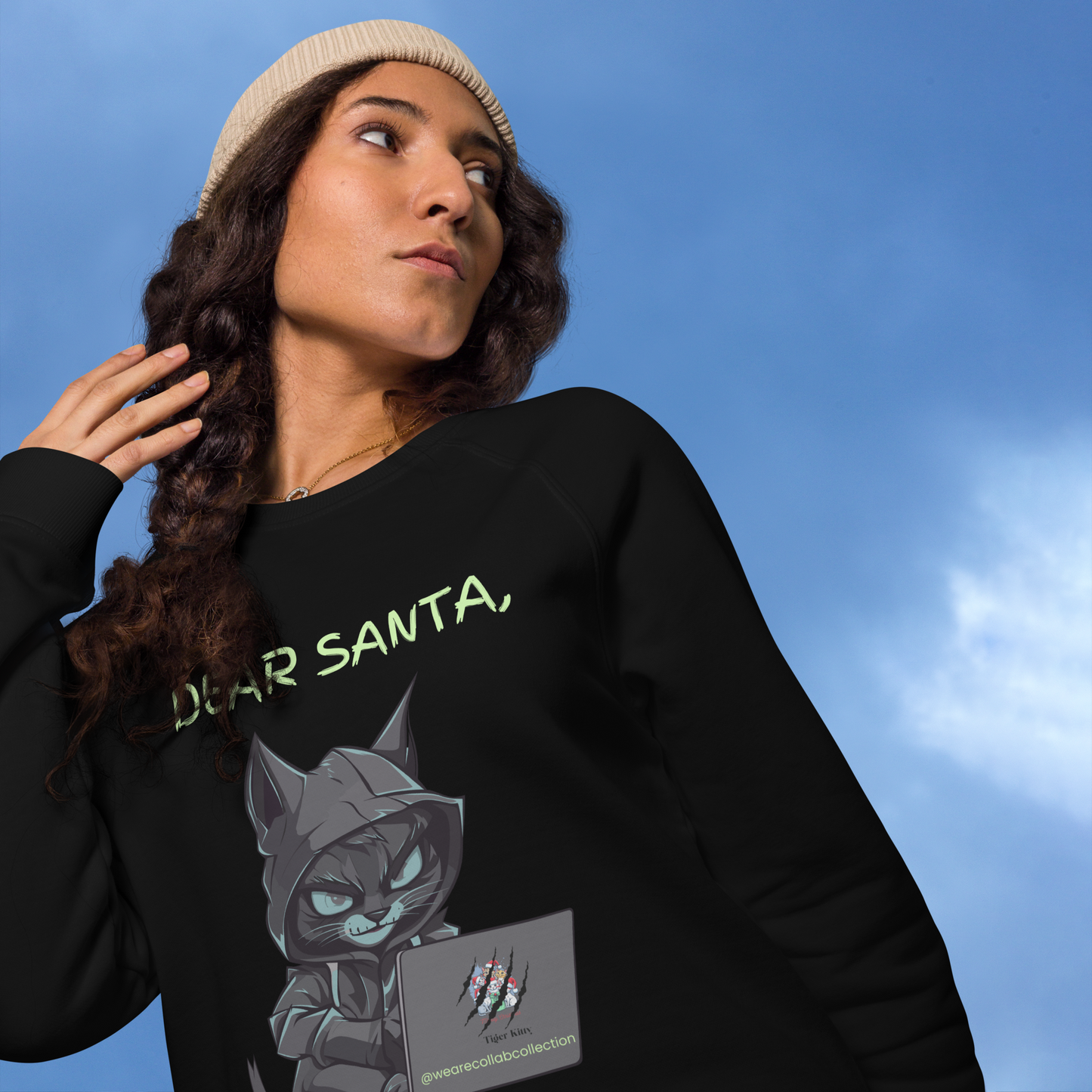 Dear Santa, T. Kitty Sweatshirt